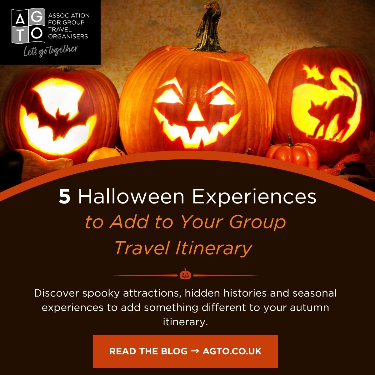 5 Halloween Experiences